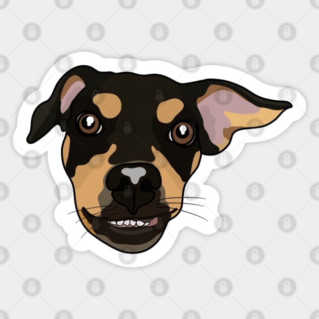 Dobermann Face Sticker by crankycranium